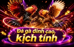 Giao diện sảnh Đá Gà DAGA trên easytopickshop.com